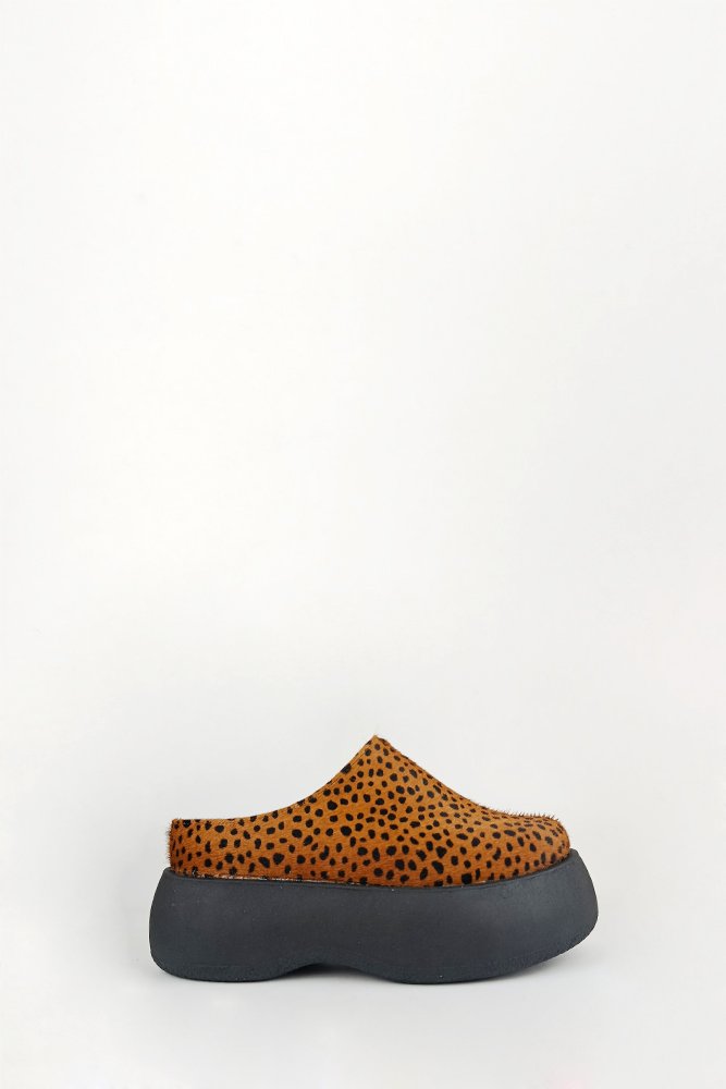 IMG_20250818_104538 ZUECO TROTER - Imagen 1